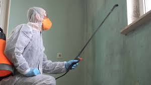 Mold Remediation for Vacation Homes in North Amityville, NY