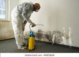 Mold Documentation for Insurance Claims in North Amityville, NY